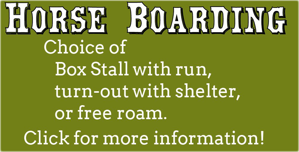 Horse boarding choice of box stall with run, turn-out with shelter, or free roam. Click for more information
